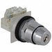 Non-Illum Selector Switch IP 65 30mm 10A