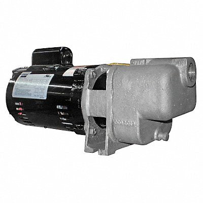 Self Priming Pump 1/3 HP 316 SS