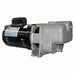 Self Priming Pump 1/3 HP 316 SS