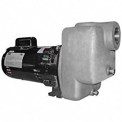 Self Priming Pump 1 HP 316 SS
