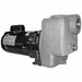 Self Priming Pump 1 HP 316 SS