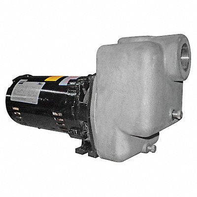 Self Priming Pump 1 HP 316 SS