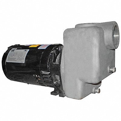 Self Priming Pump 2 HP 316 SS