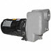 Self Priming Pump 2 HP 316 SS