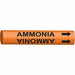 Pipe Marker Ammonia 10 in H 24 in W