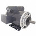 GP Motor 3 HP 3 450 RPM 115/230V AC 145T
