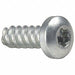 Scrw Sz #8 T20 Zinc 3/4 L PK100