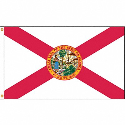 D3771 Florida Flag 4x6 Ft Nylon