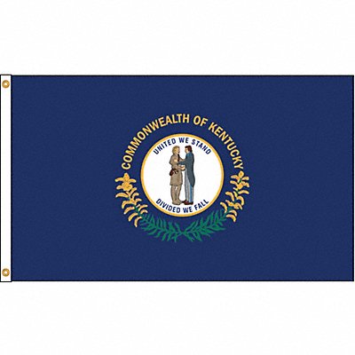 D3772 Kentucky Flag 5x8 Ft Nylon