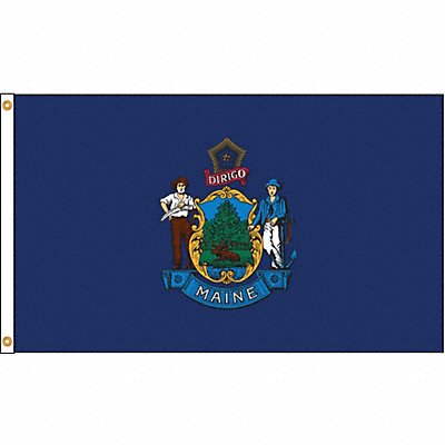 D3771 Maine Flag 4x6 Ft Nylon