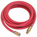 Air Supply Hose with Fittings 20 ft