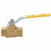 Air Inlet Shutoff Valve