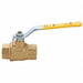 Shutoff Valve 3/8 In.