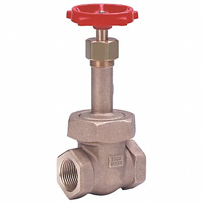 Gate Valve Class 300 3/4 in FNPT