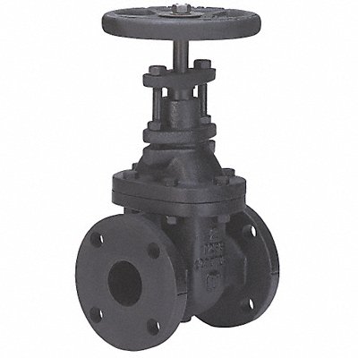 Gate Valve Class 125 3 In.