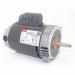 Motor 1/2 HP 3 450 rpm 56J 115/230V