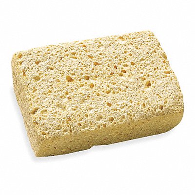 Sponge 5 3/4 in L Natural