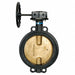 Butterfly Valve Wafer Pipe Size 6 In