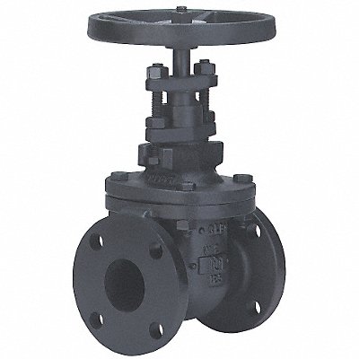 Gate Valve Class 125 2 In.