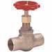 Globe Valve 3/4 Bronze Socket 200 psi