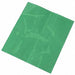 Label Transparent Green 10 in H 9 in W