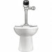 Flush Valve Toilet 10 or 12 Rough-In