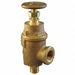 Adjustable Relief Valve 2-1/2 In 50 psi