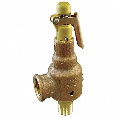 D4481 Safety Relief Valve 1-1/2 x 2 In 150 psi