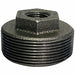 Hex Bushing Malleable Iron 2 x 1/2 in