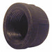 Round Cap Malleable Iron 2 in FNPT