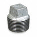 Square Head Plug Malleable Iron 1 1/4 in