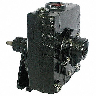 Pedestal Pump Cast Iron 2 HP