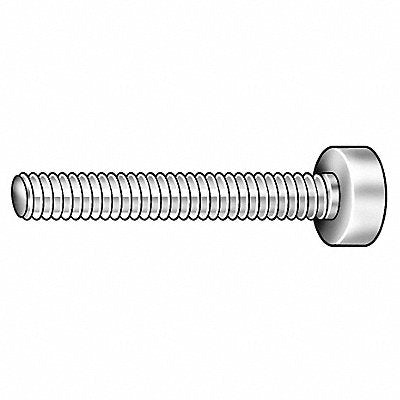 Thumb Screw 1/2 -13 Full Thread SS 3 L