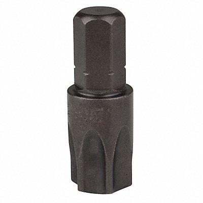 Insert Bit SAE 5/16 Hex T55 1-1/4 PK5