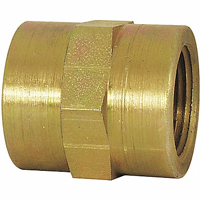 Coupling Carbon Steel 1/8 in 10 PK