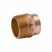 DWV Adapter Cast Brass 1-1/2 CxMNPT