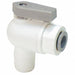 Acetal Ball Valve Push x MNPT 1/4 in