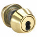 Deadbolt Bright Brass