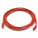 Patch Cord Cat 6 Booted Red 10 ft.