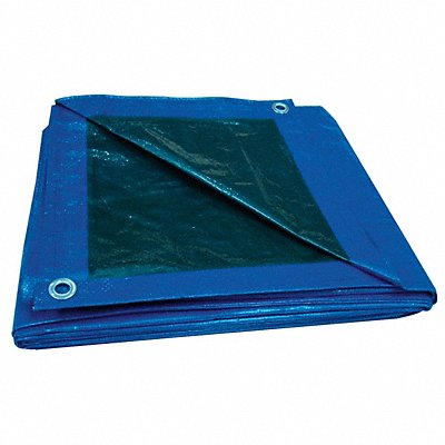 G8829 Tarp Reversible Polyethylene 50x80Ft