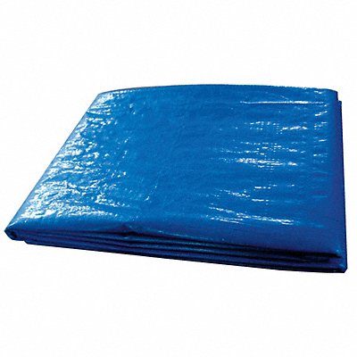 Tarp Flame Resistant Polyeth 10x12Ft