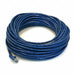 Patch Cord Cat 6 Booted Blue 50 ft.