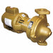 Potable Circulating Pump 