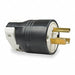 Straight Blade Plug Blk 30 A Stnd 10-30P