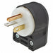 Agl Strt Plug Blk Wht 20 A Stnd 5-20P