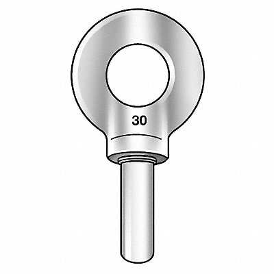 Machinery Eye Bolt Shank D 1 in