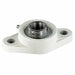 2 Bolt Flange Brg Radial Ball 3/4in Bore