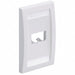 Wall Plate Single Gang 2 Ports White