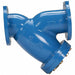 Ductile Iron Wye Type Strainer 6 in Pipe