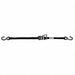 Tie Down Strap Ratchet Poly 12 ft.